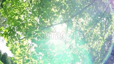 午后的夏日阳光穿过树林`树枝照耀着打盹的男孩